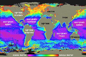 מפת היצרנות הראשונית באוקיינוסים